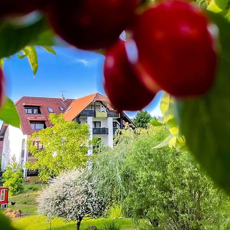 Gasthaus Hirschenstube & Gaestehaus Gehri วัลด์เคียร์ช ภายนอก รูปภาพ