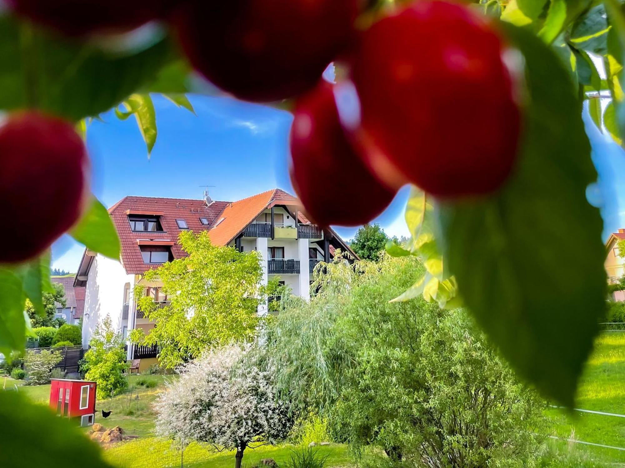 Gasthaus Hirschenstube & Gaestehaus Gehri วัลด์เคียร์ช ภายนอก รูปภาพ